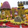 中山菊展美食三天團