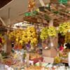 中山菊展美食三天團：圖片 4